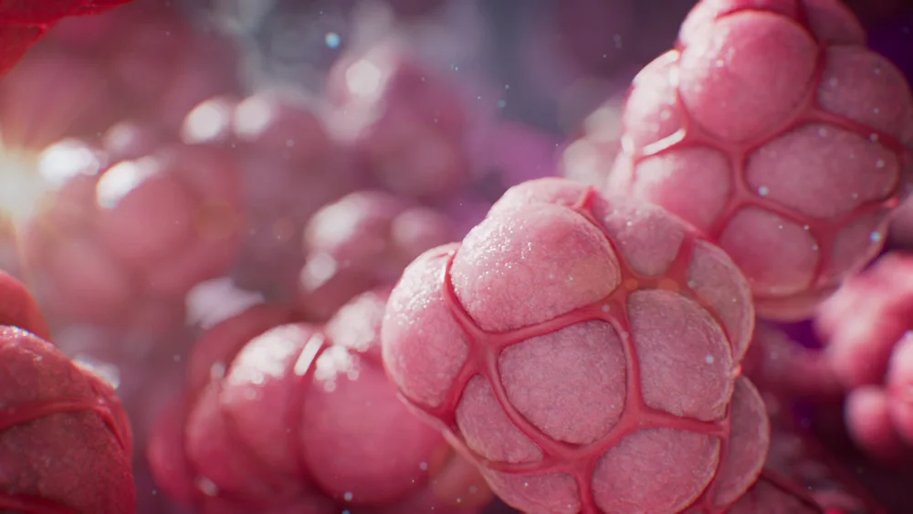 Clusters of pink lung cells in a softly lit microscopic environment