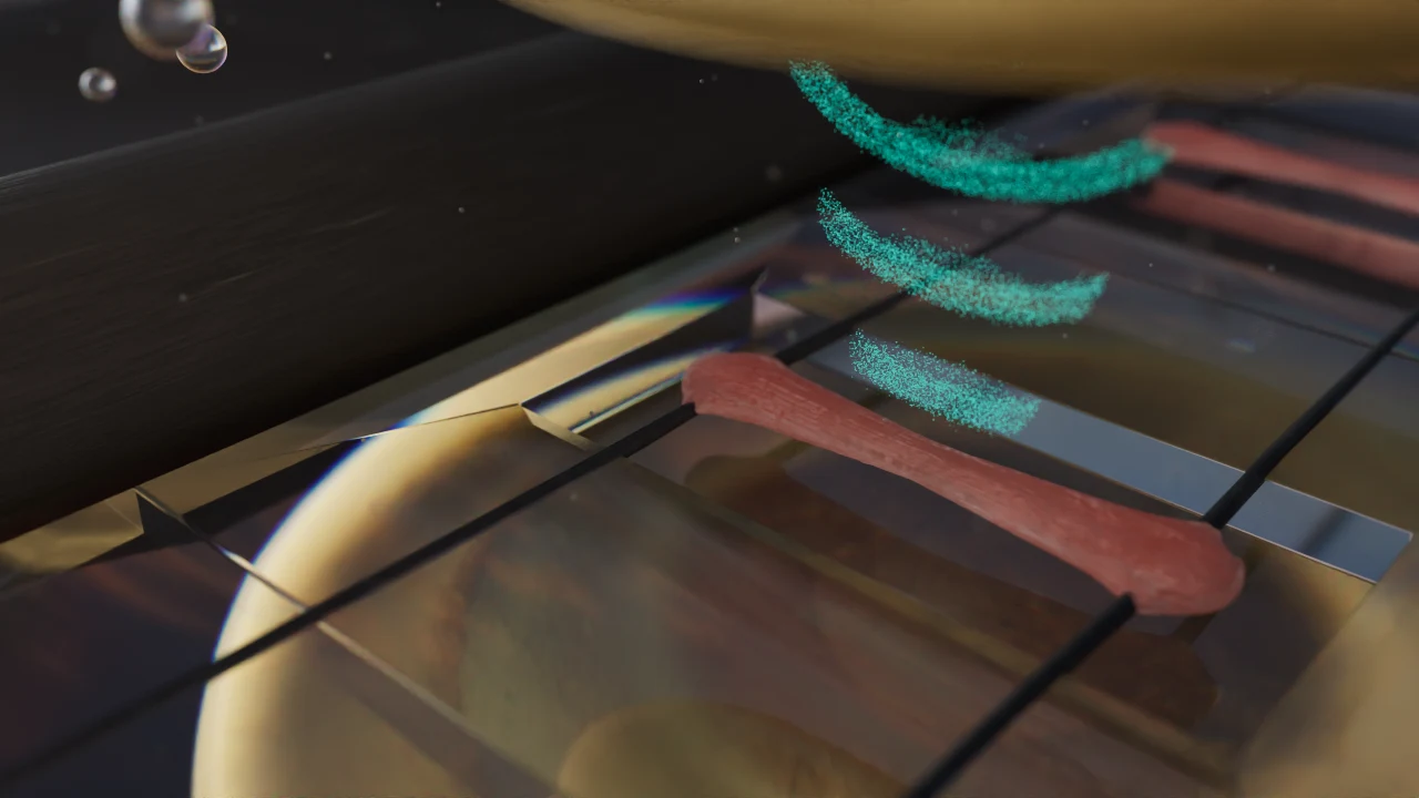 Turquoise ultrasound wave patterns above the cardiac tissue model